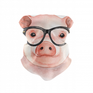Spectacle Pig Reusable Neck Gaiter and Face Shield