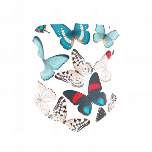 Butterfly Mouth 2 Reusable Neck Gaiter and Face Shield